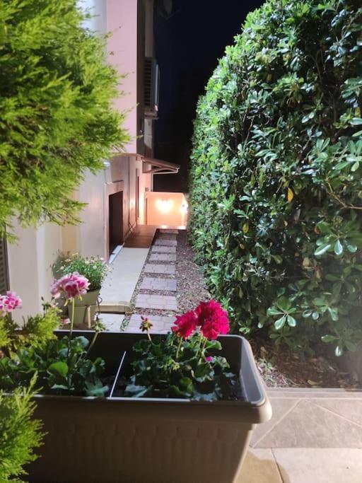 Ebony And Ivory Suites โดรเซีย ภายนอก รูปภาพ
